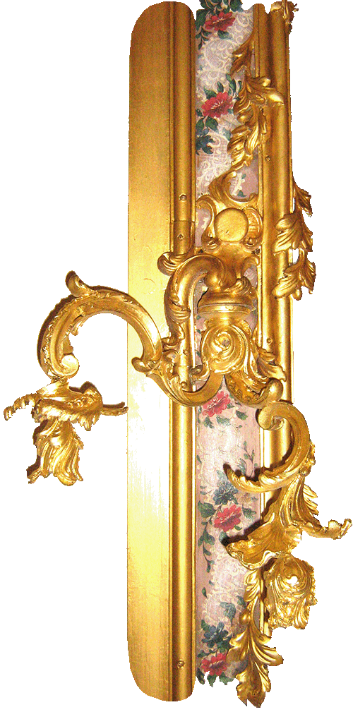 parabacca1a